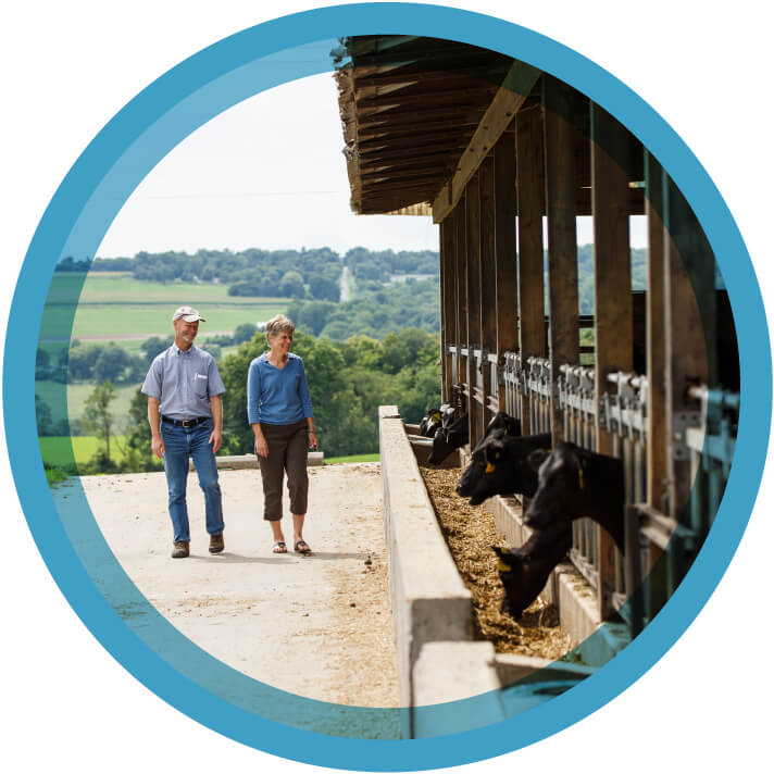 Two cayuga marketing cooperative farmers walking and smiling at their cattle